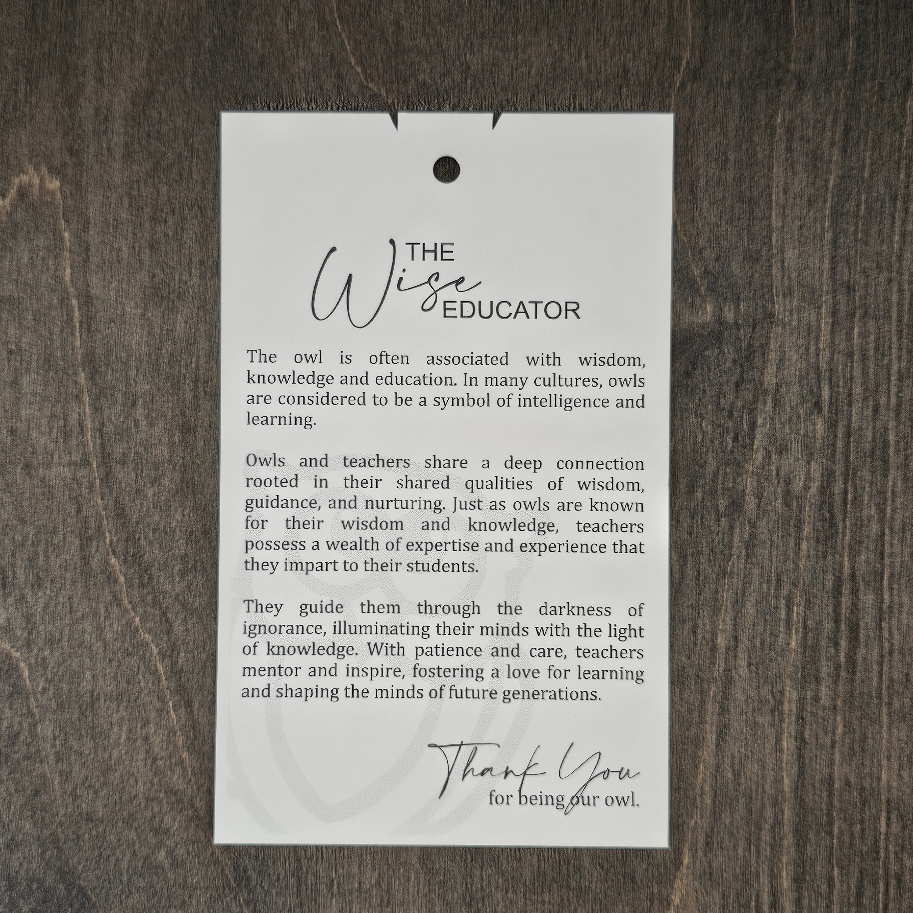 The Wise Educator | Owl Story Ornament - OWOB3