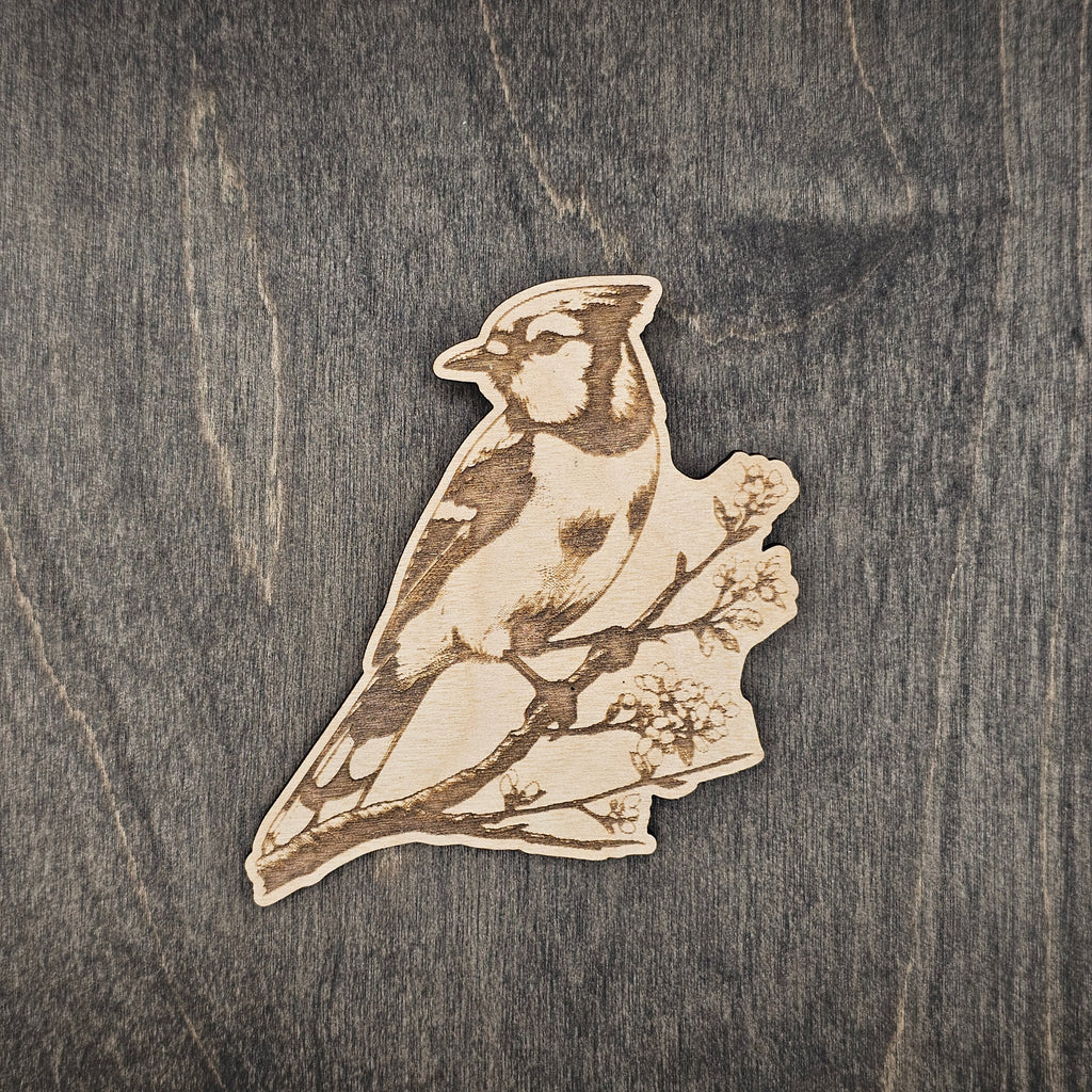 Blue Jay Wildlife Magnet | Laser Engraved Wood - MBCR3