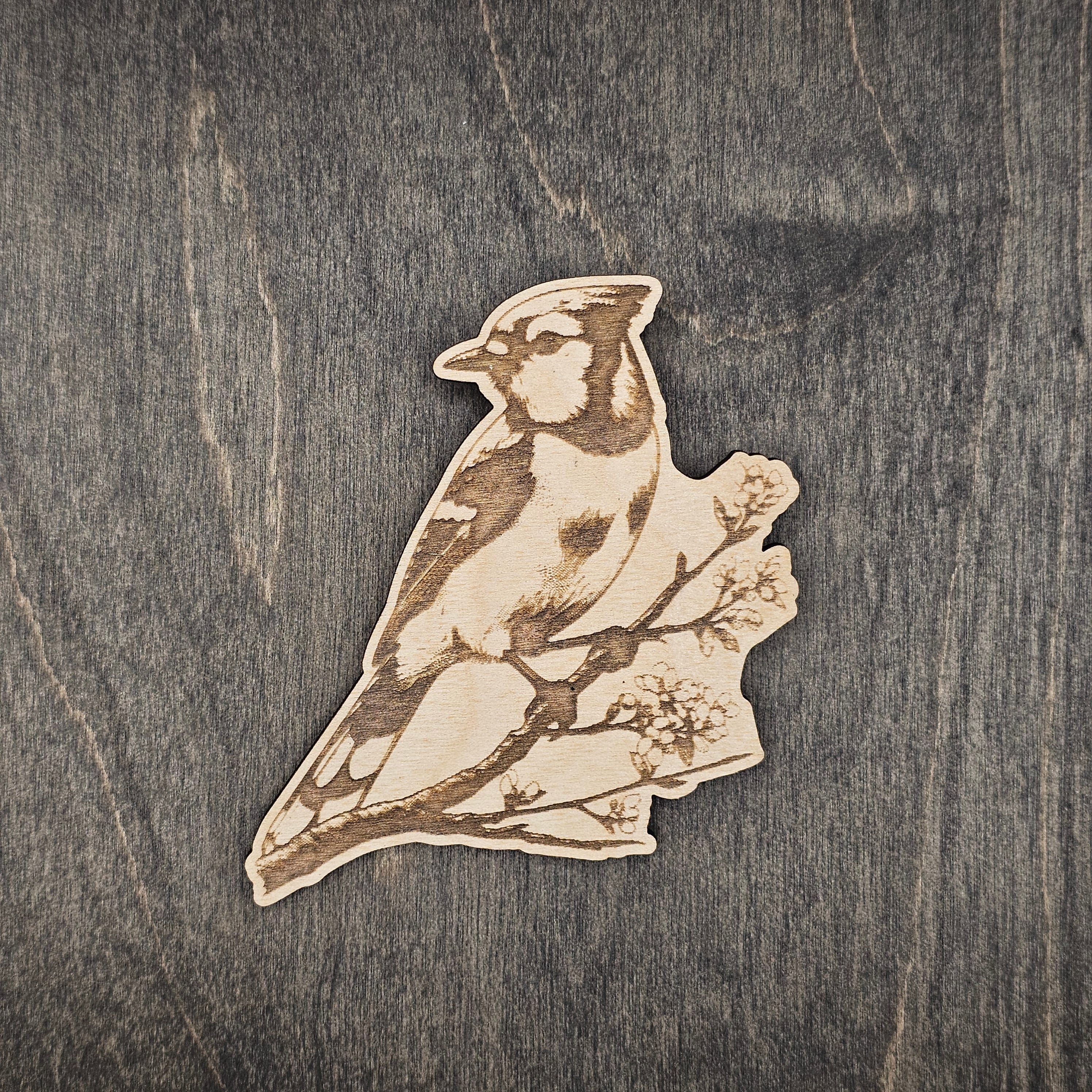 Blue Jay Wildlife Magnet | Laser Engraved Wood - MBCR3