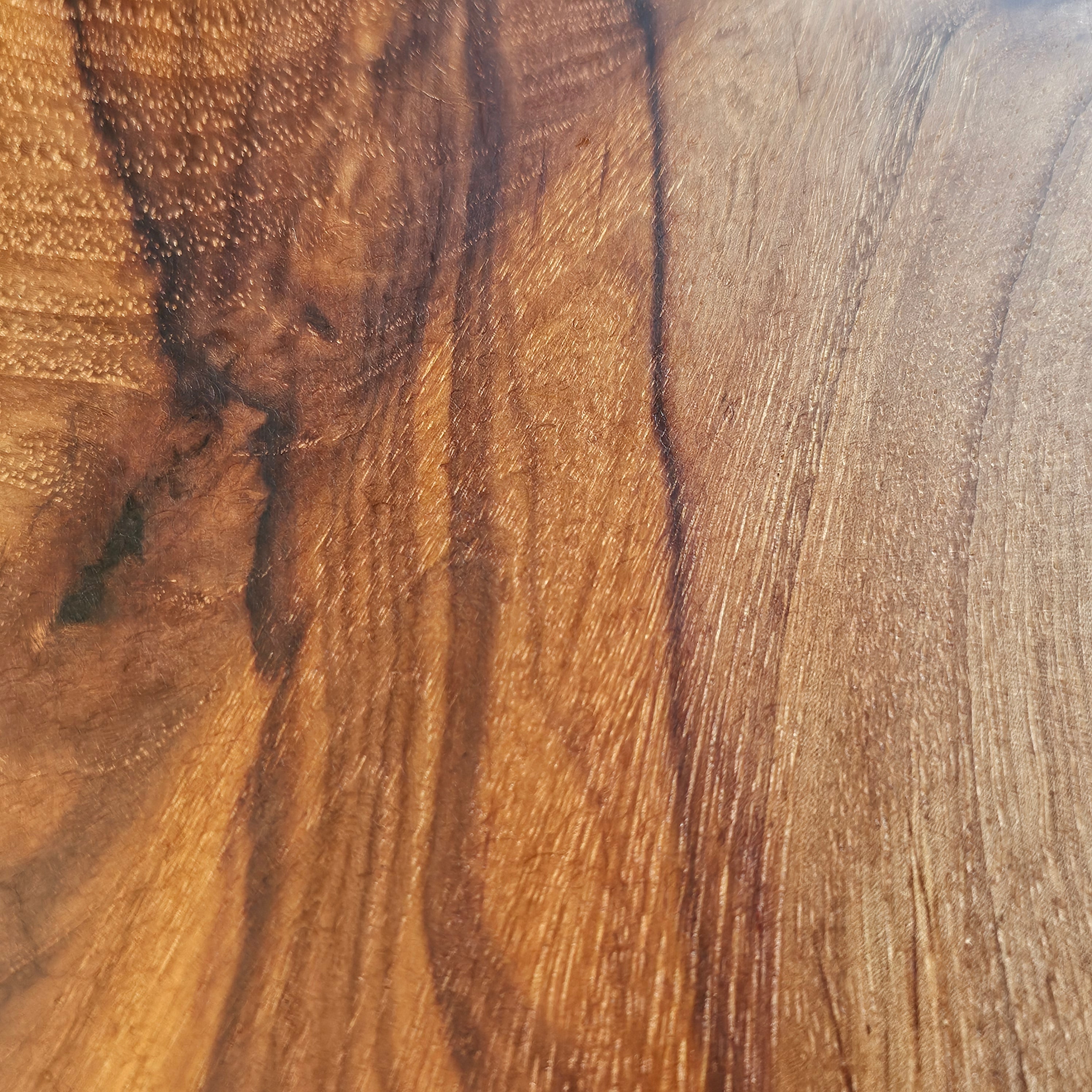 Texas Pecan Charcuterie Board with Cathedral Grain