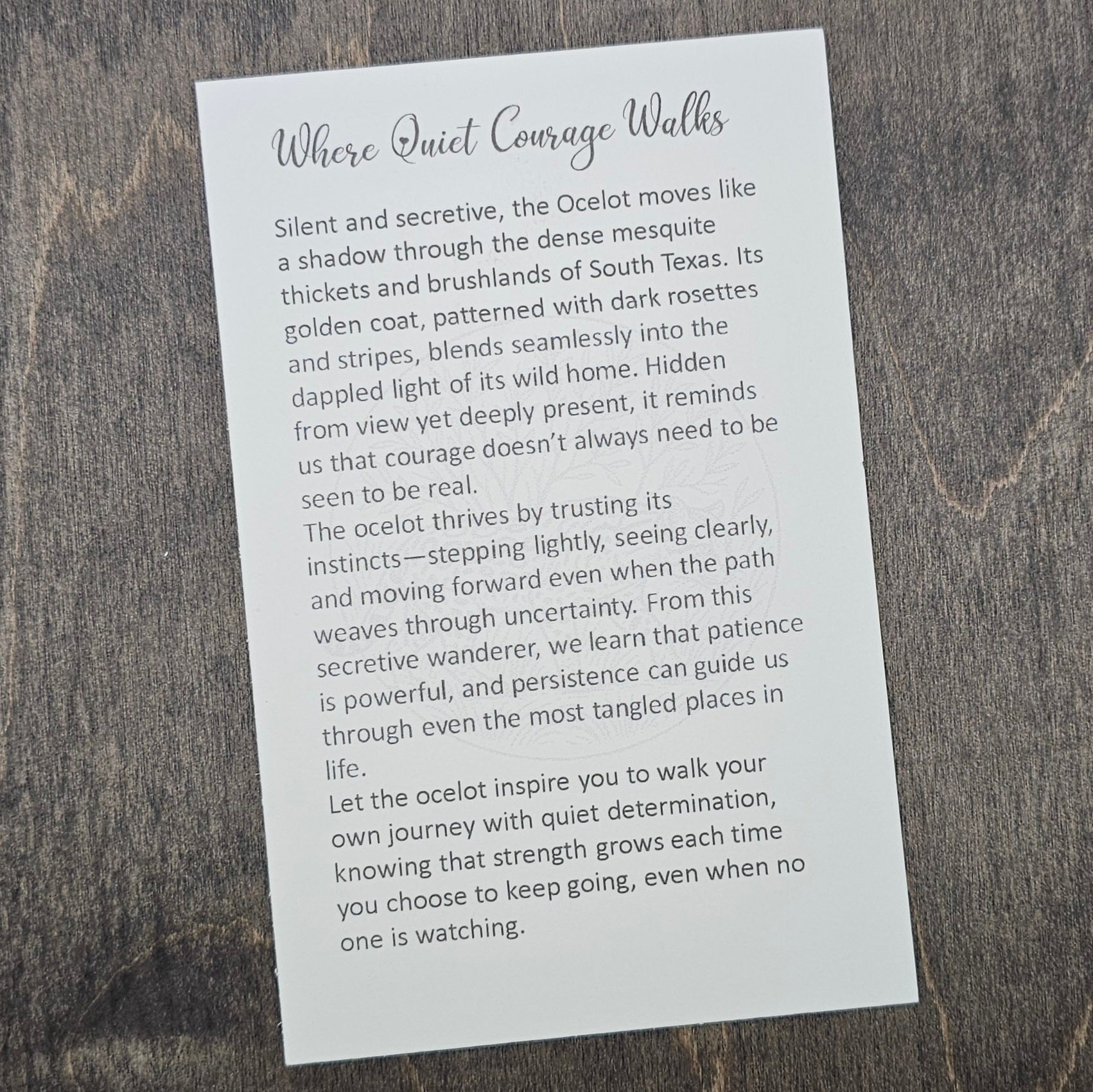 Ocelot | Wildlife Story Ornament - OWDC6