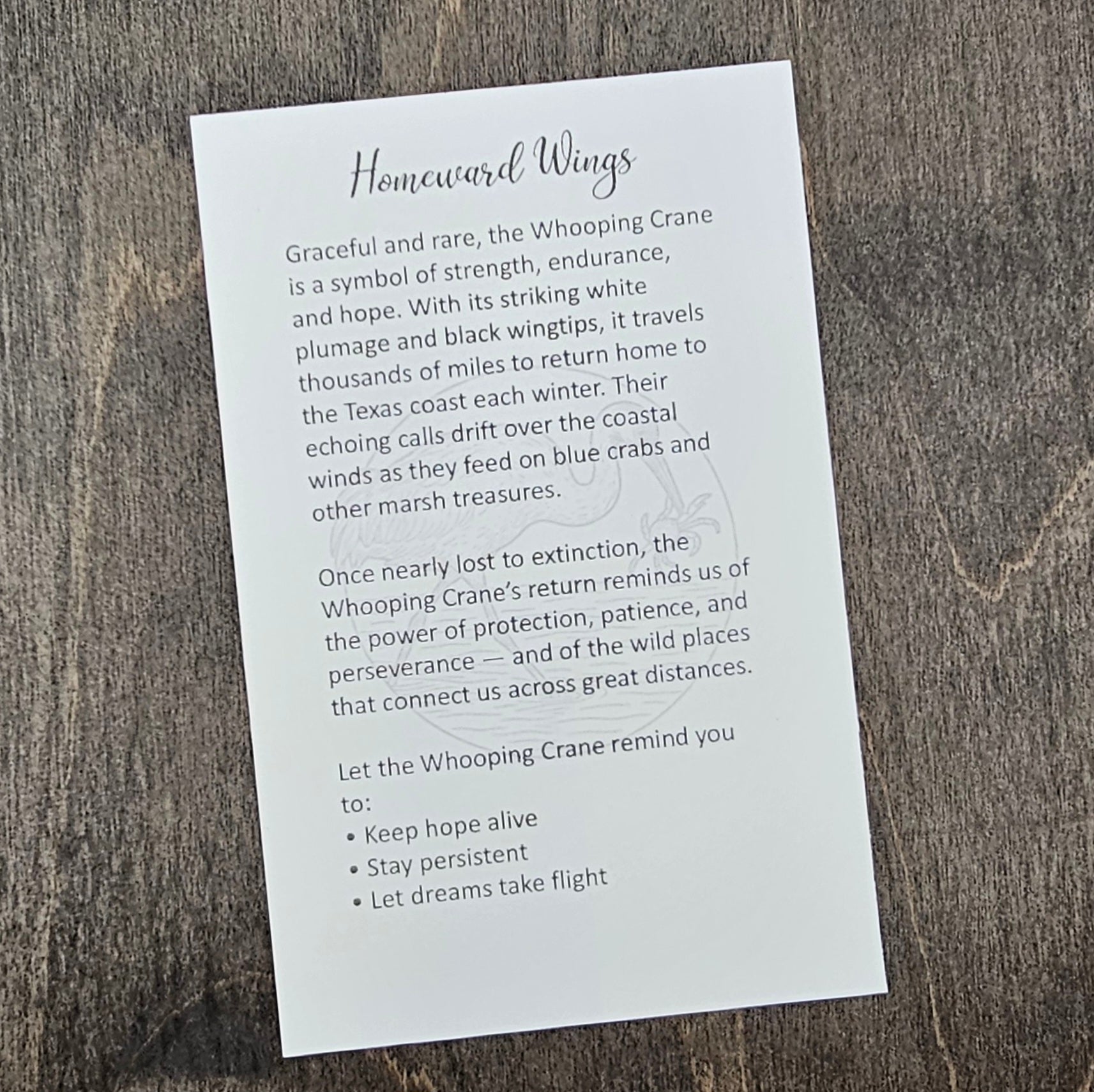Homeward Wings printed story card included with the Whooping Crane Wildlife Story Ornament by Deep Creek Engraving